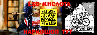 крисы Боровичи