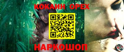 индика Брянск