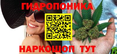 СК Братск