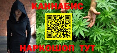 индика Брянск