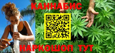 индика Брянск
