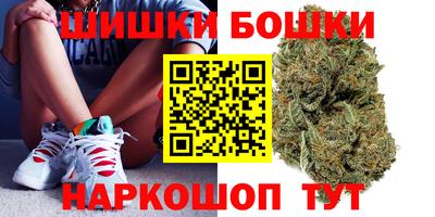 индика Брянск