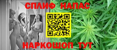 крисы Боровичи