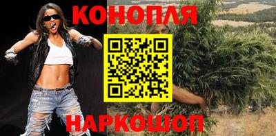 крисы Боровичи